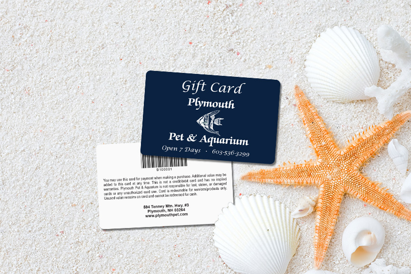 Aquarium Marketing Aquarium Membership, Gift Card & More